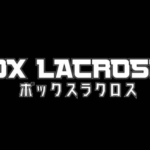 Box Lacrosse ボックスラクロスの競技紹介 Lacrosse Plus Japan ラクロスプラス